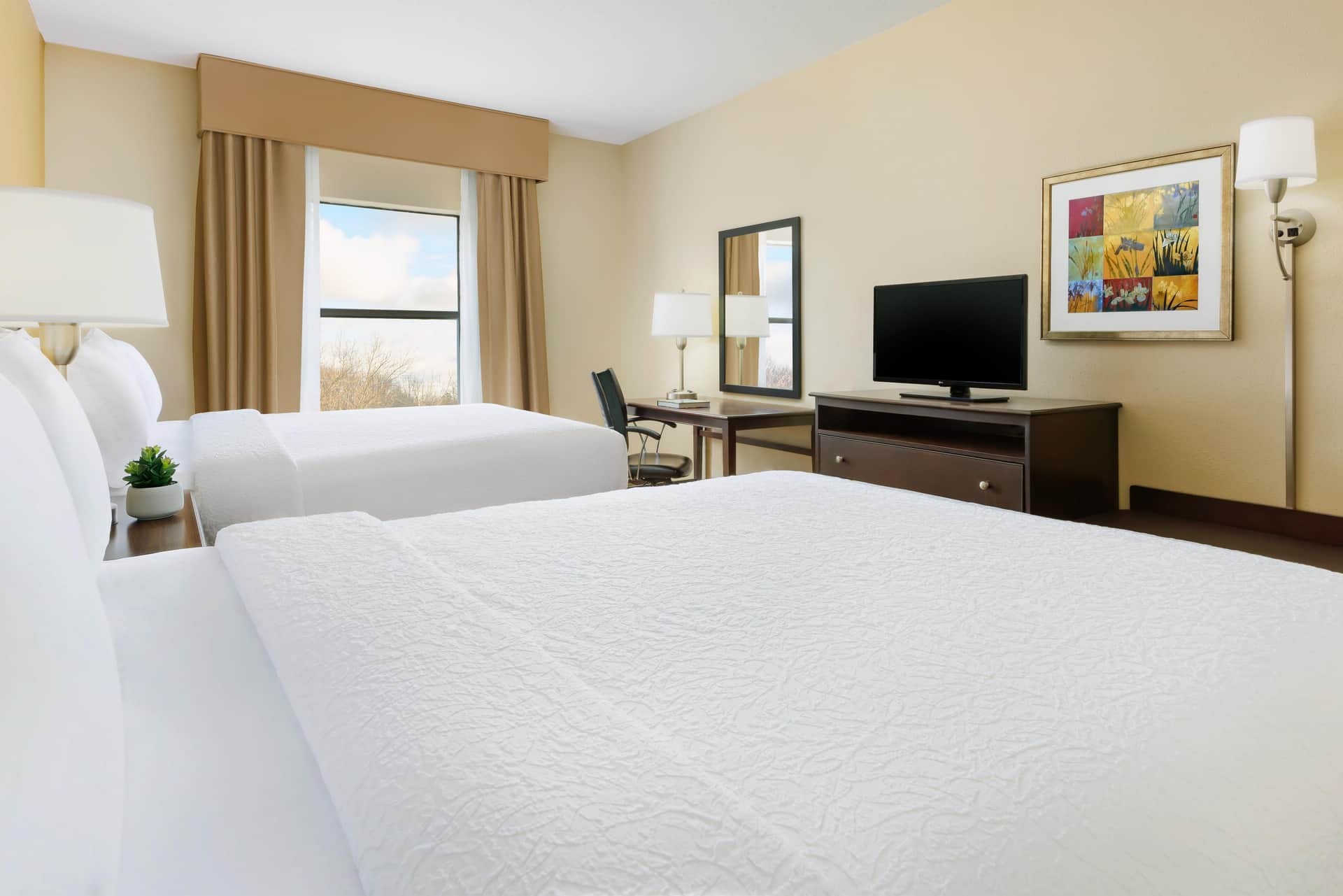Hampton Inn Jackson