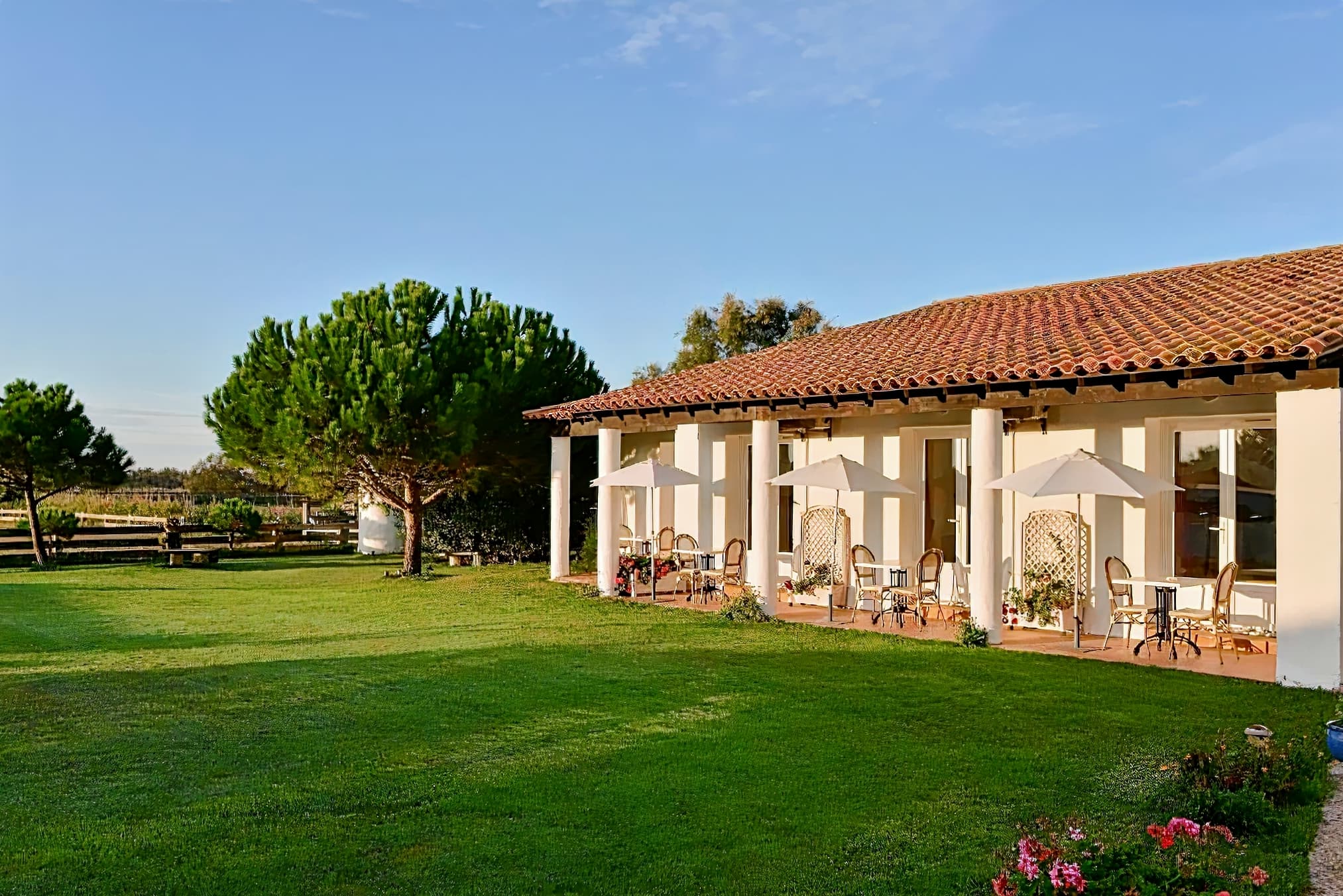 Hôtel Mas de la Grenouillere