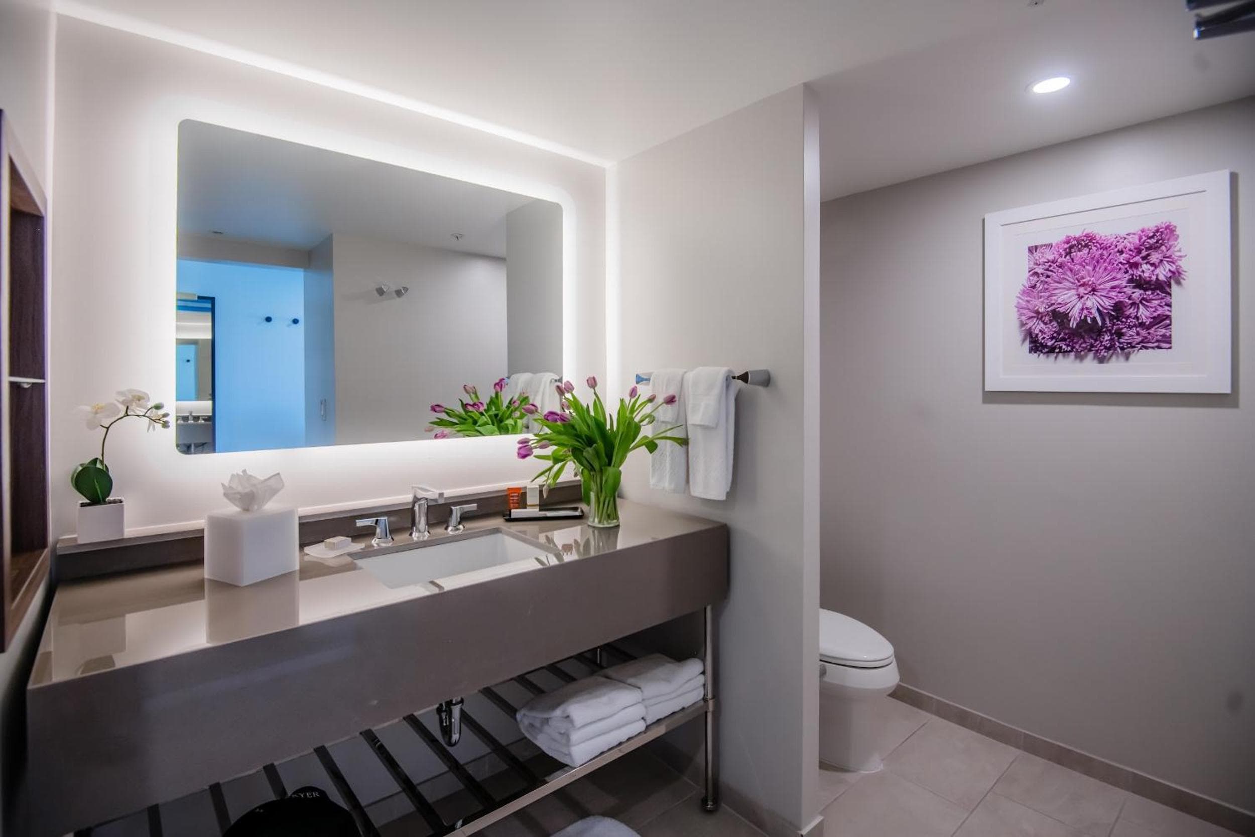 Hotel Madera