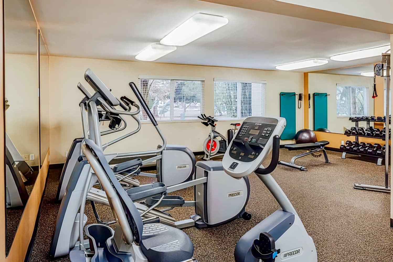 Wild Palms Hotel, a Joie de Vivre Hotel