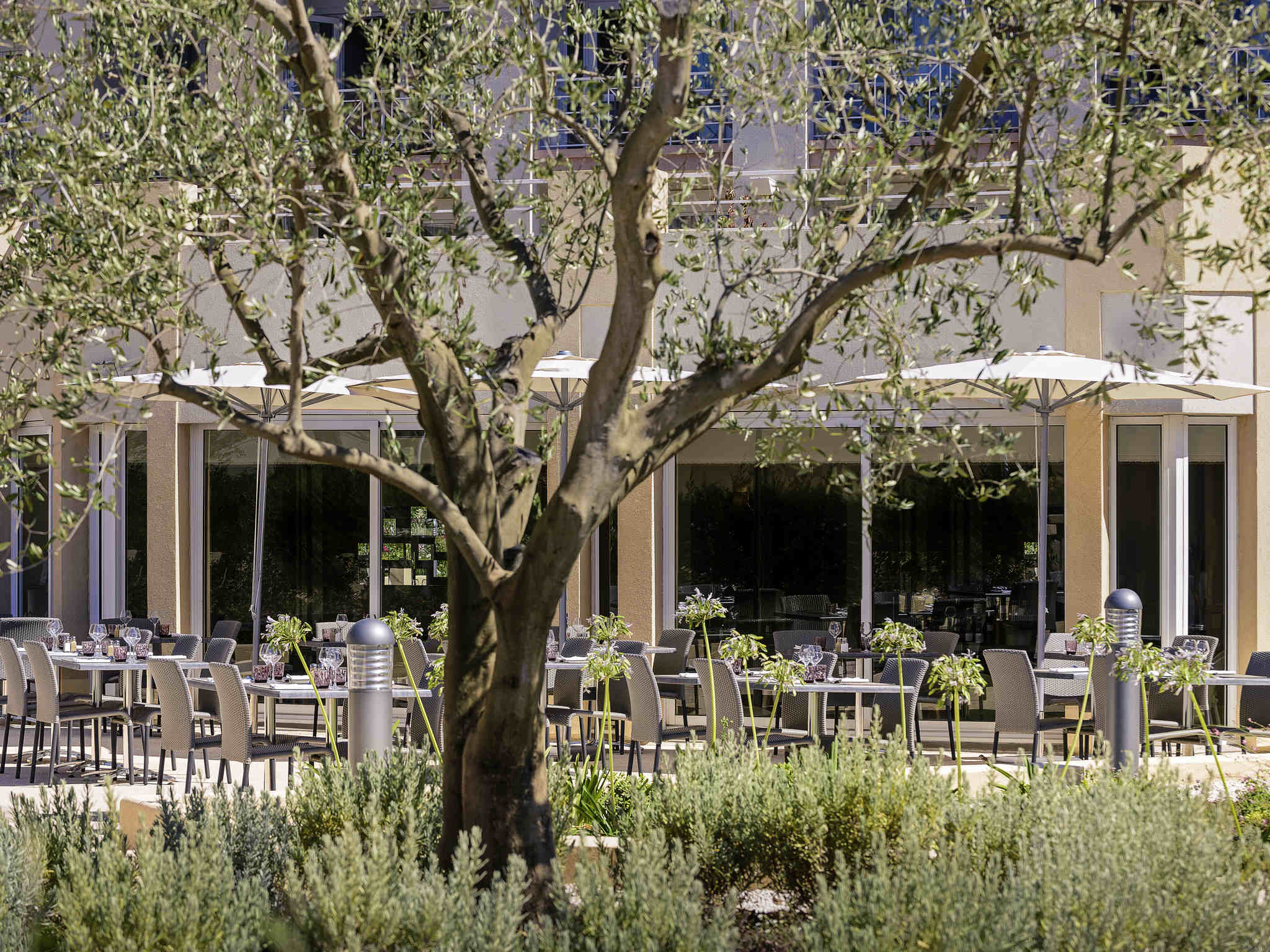 Mercure Thalasso & Spa Port Frejus