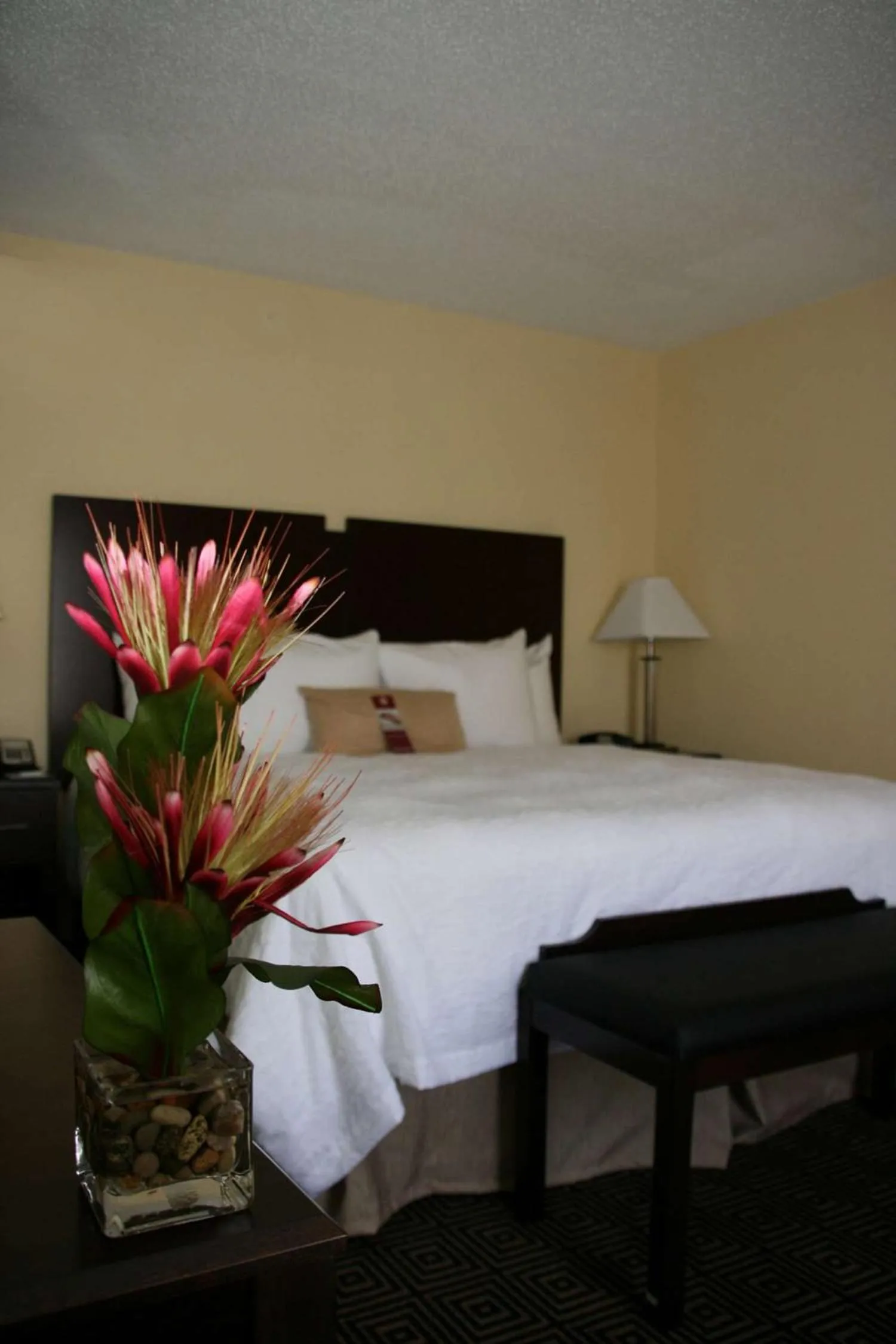 Hampton Inn & Suites by Hilton Orlando John Young Parkway/S. Park