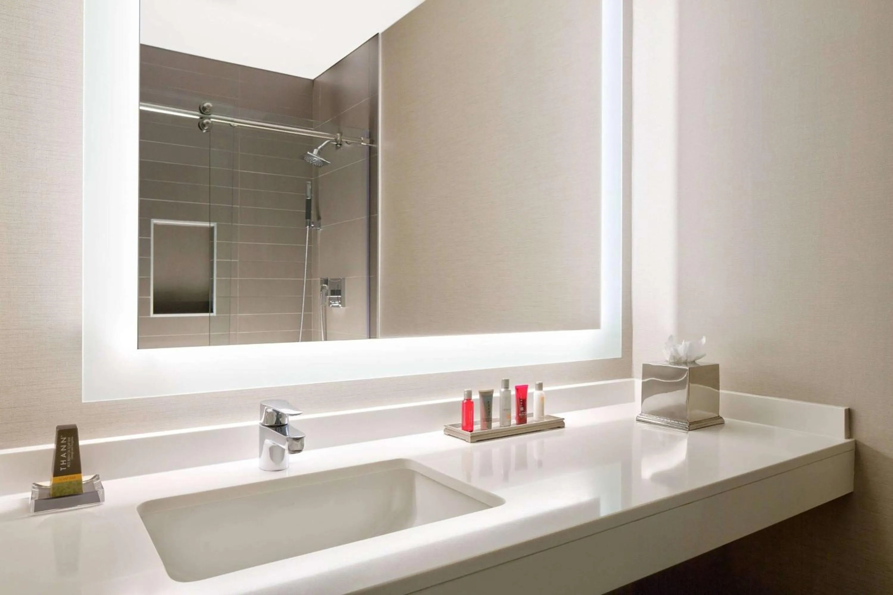 Wyndham Atlanta Buckhead Hotel & Conference Center