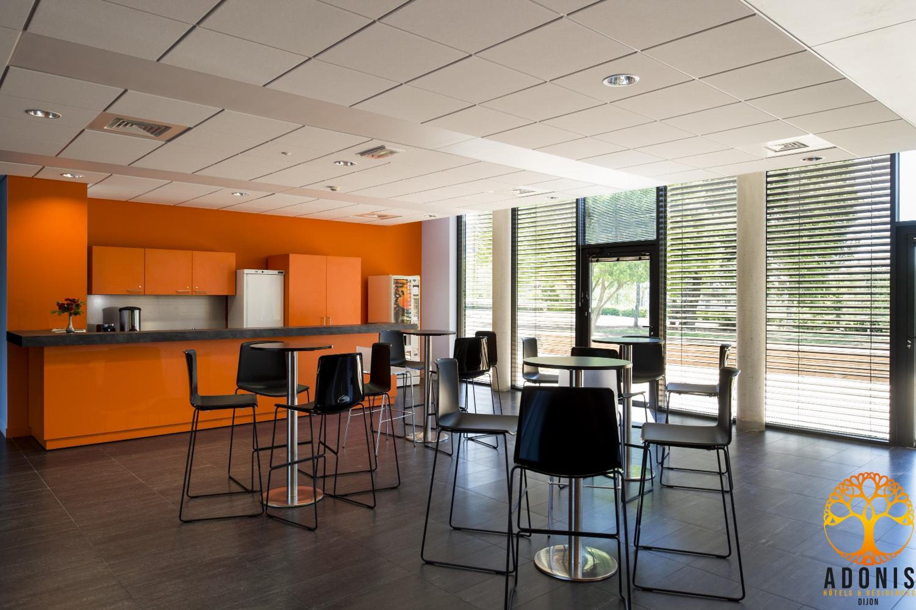 Adonis Dijon Maison Internationale