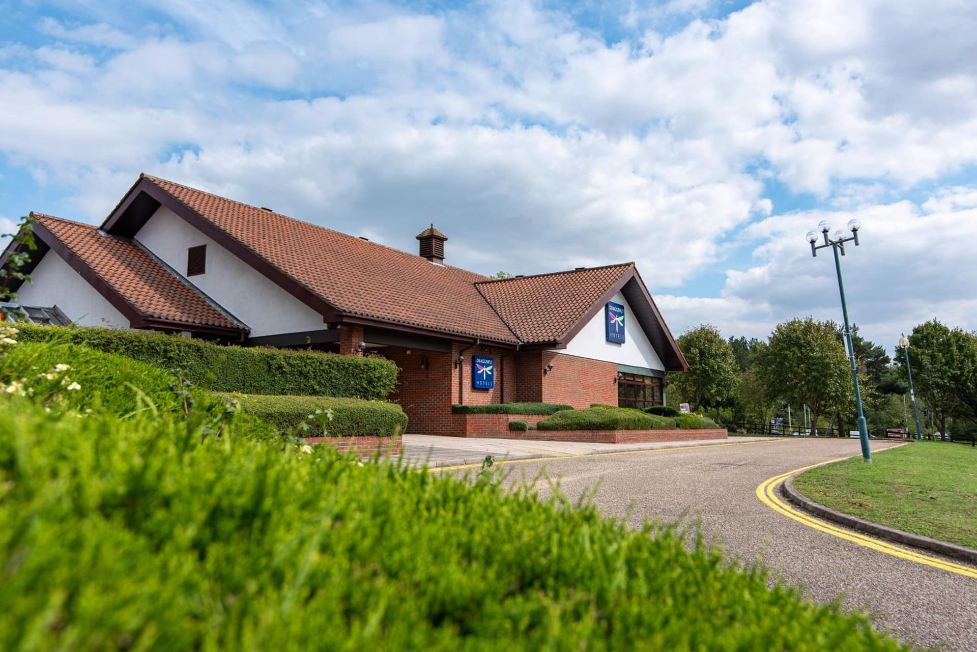 Dragonfly Bury St Edmunds