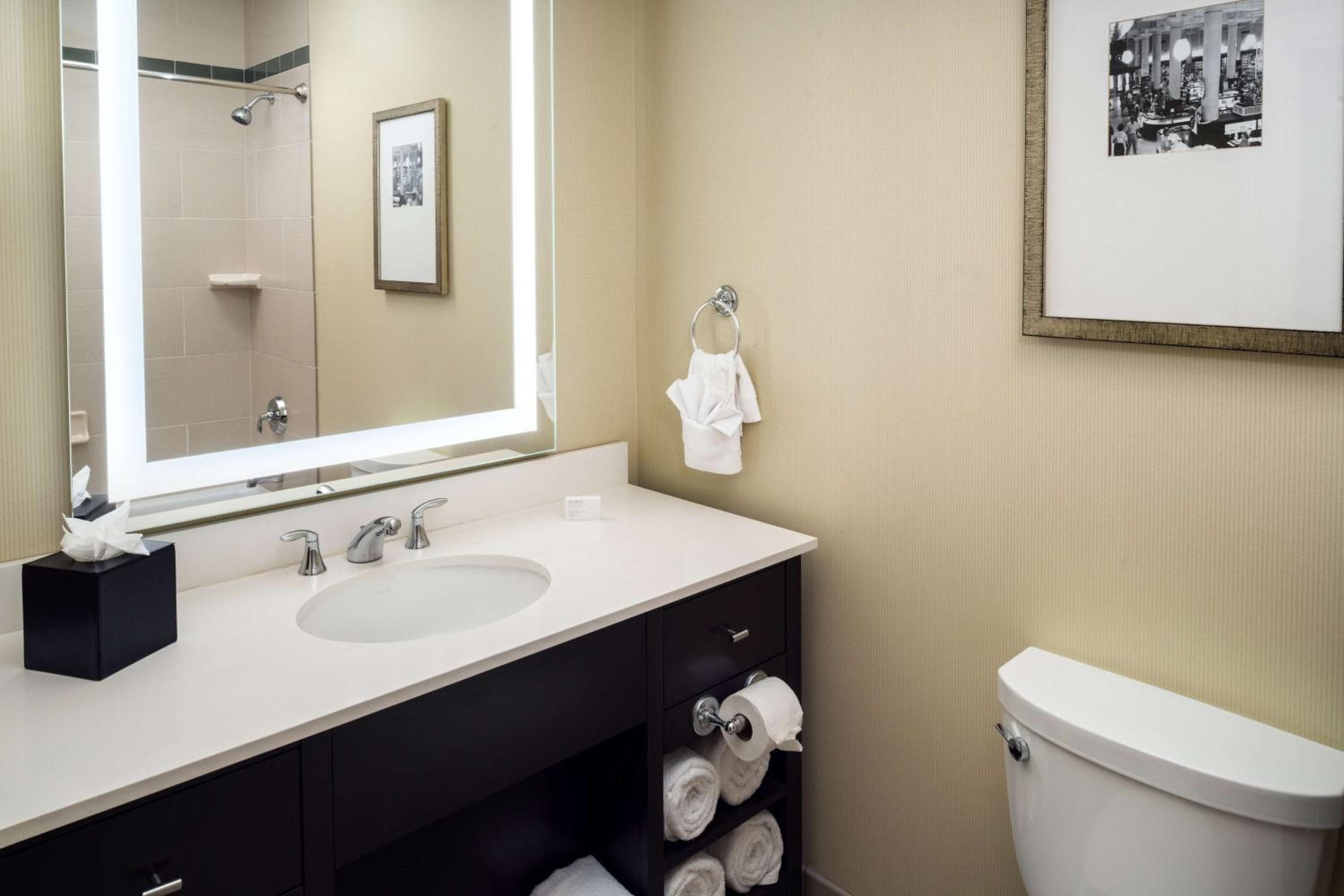 Embassy Suites by Hilton St. Louis Downtown