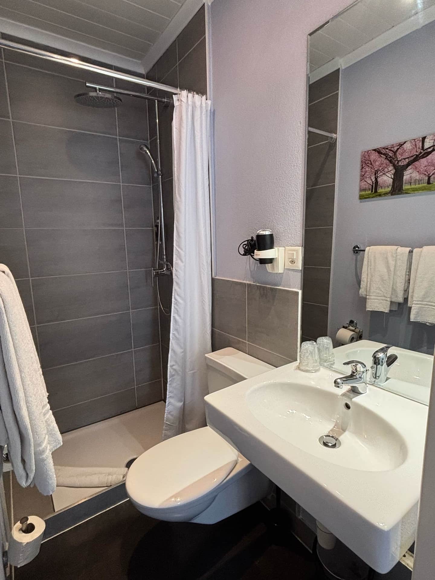 Hôtel Parc et Lac